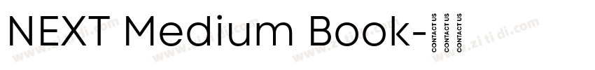 NEXT Medium Book字体转换